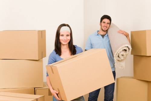 Professional mover assisting with boxes in Eastcote